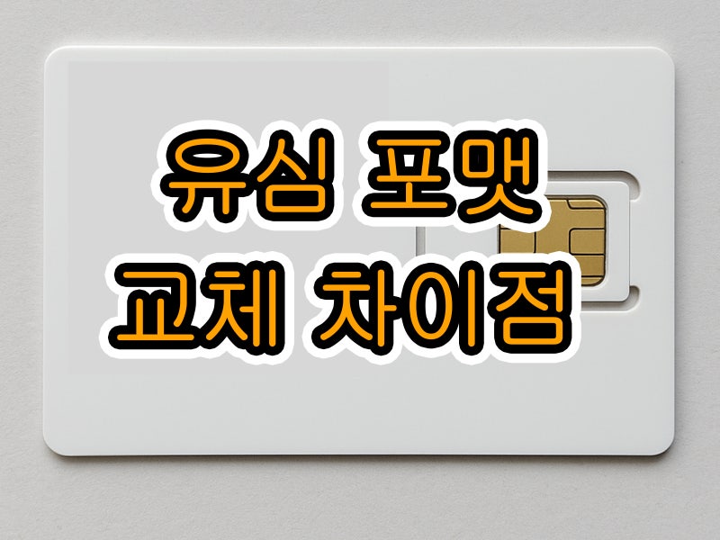 핸드폰 유심포맷 초기화 유심교체 방법
