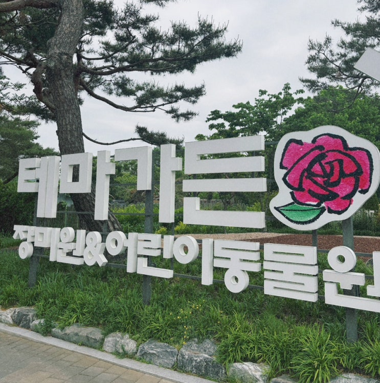  2025 서울대공원 장미축제 실시간 개화상황 방문 후기 | 5월 17일 기준