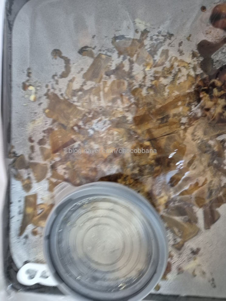 오꼬노미야끼금 선릉역 오사카식 오꼬노미야키 타코야키 야끼소바 전문점 오꼬노미야끼금 선릉역 오사카식 오꼬노미야키 타코야키 야끼소바 전문점