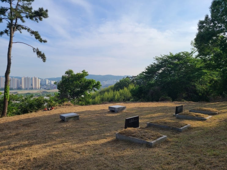  울산 울주군 온양읍 동상리 산 112 평장묘 4기 및 평석 2기 60평 벌초대행("울산벌초대행")