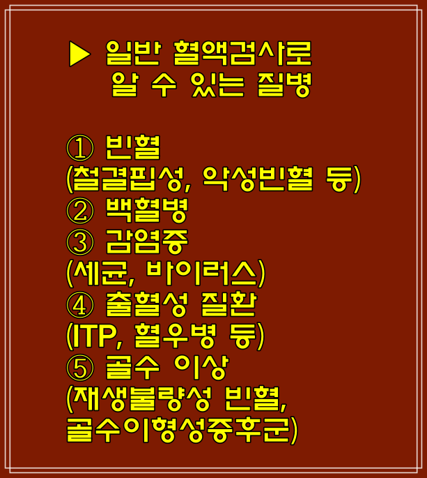 혈액/간기능/신장기능/전해질 검사로 알 수 있는 병 종류