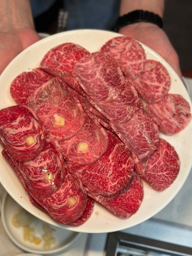  압구정역 논현 소고기 맛집 초원 도산대로점 한우 강남 24시 고기집 룸식당 추천