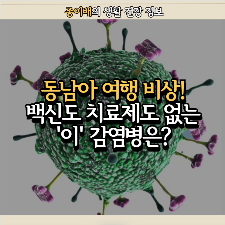  동남아 여행 비상! 백신도 치료제도 없는 치사율 90% 감염병 니파바이러스 증상과 치료 방법은?