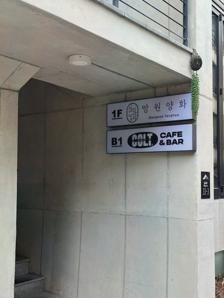  망원양화, 분위기 좋은 망원동요리주점에서 특별한 저녁을!