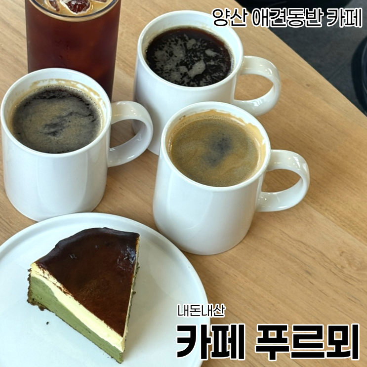  [양산 카페]양산 애견 동반 카페_카페푸르뫼