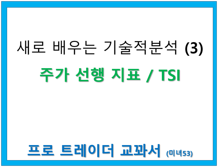 주가 선행 지표 / 실제 강도 지표 TSI