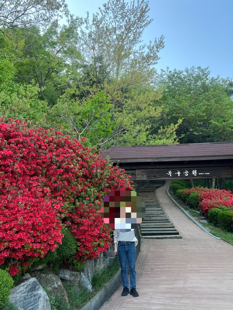  경기도 시흥 가볼만한곳_서울근교 4월 봄꽃 명소[옥구공원]