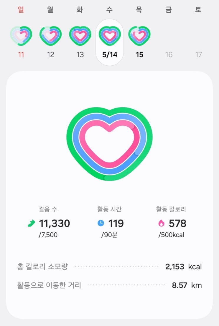  JY 트레이닝 767일차