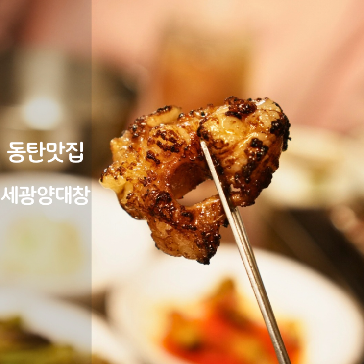  동탄 남광장 맛집 특양 대창 막창 구이 세광양대창