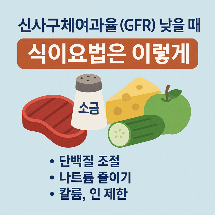  신사구체여과율(GFR) 낮다면? 식단부터 다시 짜야 해요