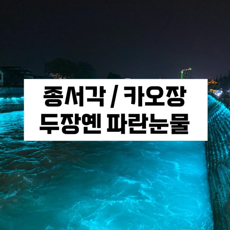  청두 두장옌/칭청산 여행 (2) 해리포터 서점 종서각 / 카오장 카오위 / 두장옌 파란눈물