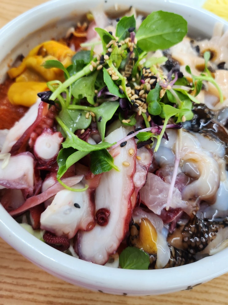  강원도 속초 맛집 항아리 물회