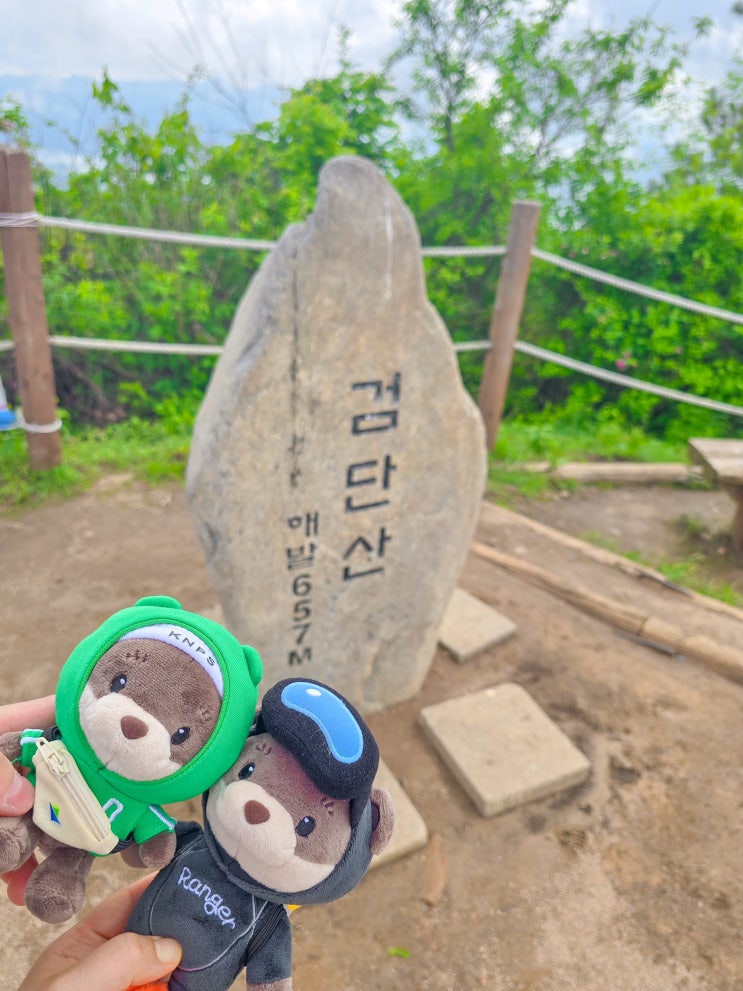  #20 주6일 운동으로 채운 에너지틱 일상