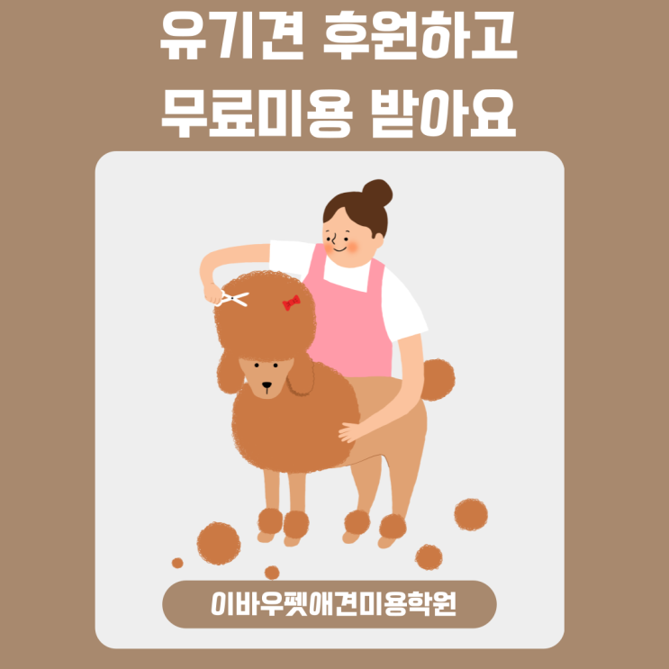  유기견 후원하고 강아지 무료미용 받아요