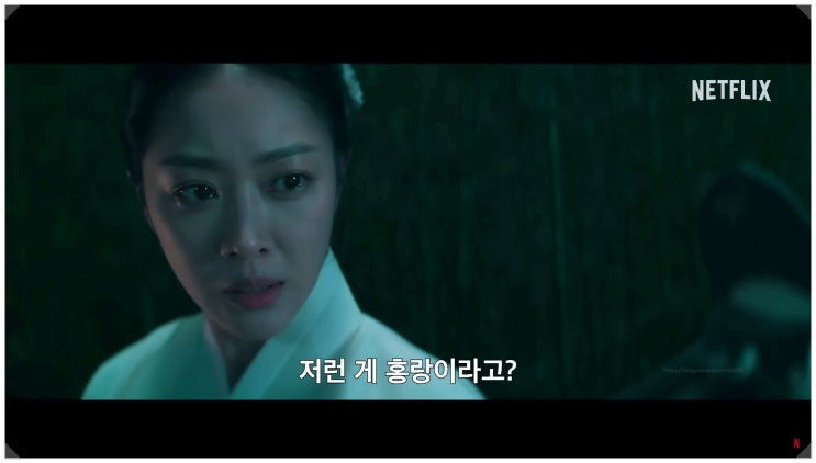  탄금 시즌2는 안 나온다? 마지막회 결말 해석 정리와 화지의 진실까지