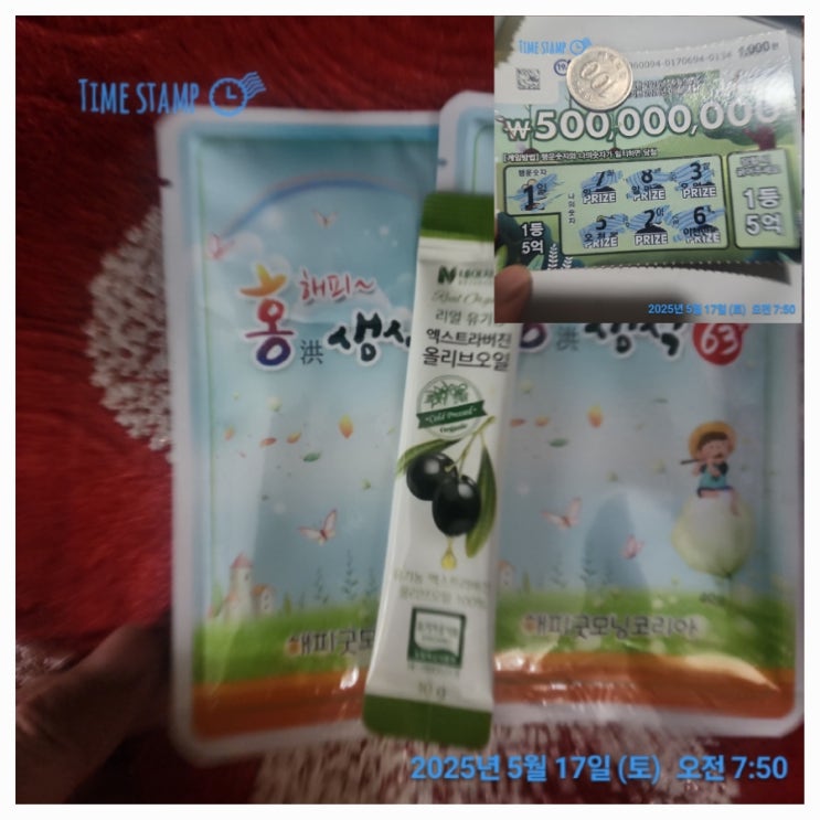 제외 <b>대선</b> 선거 <b>유세</b>, 나의 생각, 내가 나라에 바라는 정책