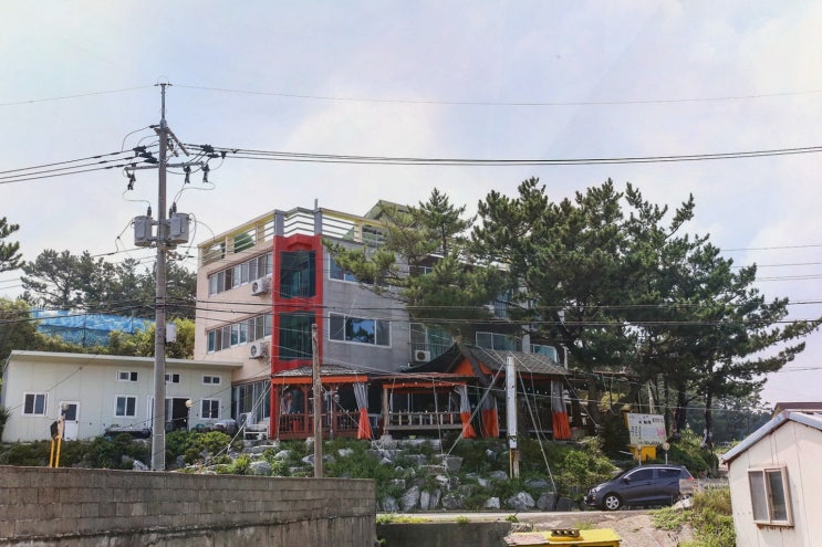  [포항푸른솔회식당] 포항횟집 추천, 신선한 해산물로 유명한 맛집