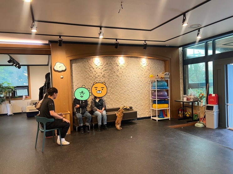  짖음문제로 입학중인 닥스훈트 동주의 교육시간 ~![드림애견학교]