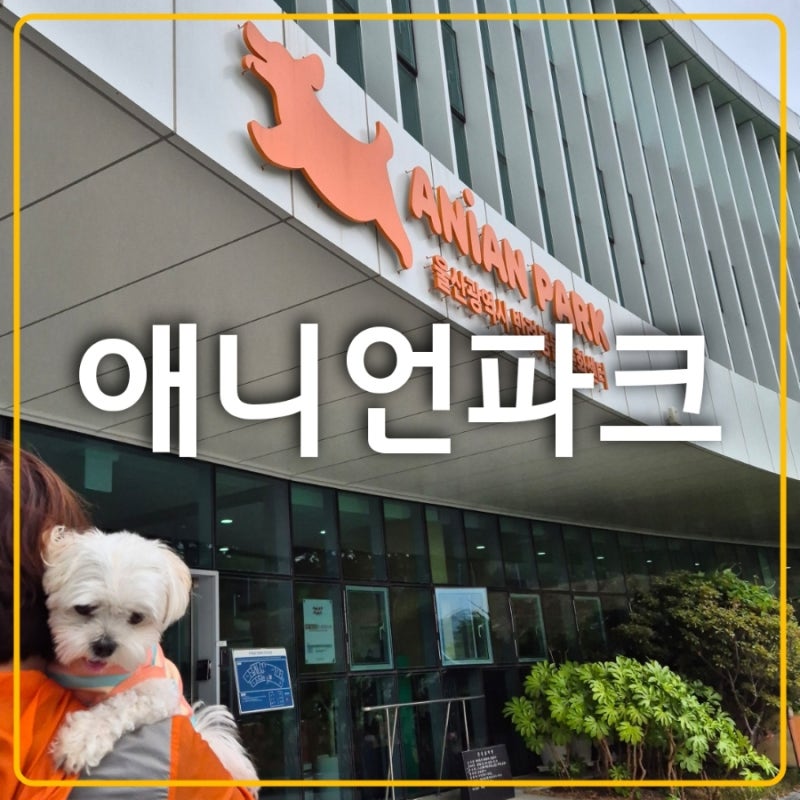 사진 5