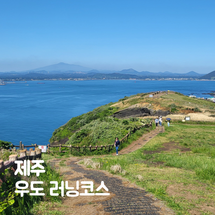  우도 산호해수욕장 천진항 우도봉 포함 섬한바퀴 러닝코스