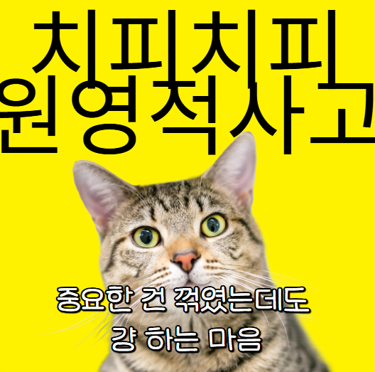  치피치피 차파차파 뜻 원영적 사고 의미 알기