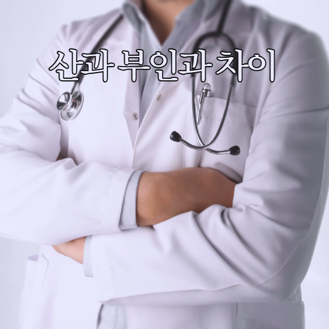  산과 부인과 차이 한눈에 정리! 진료 과목 정리