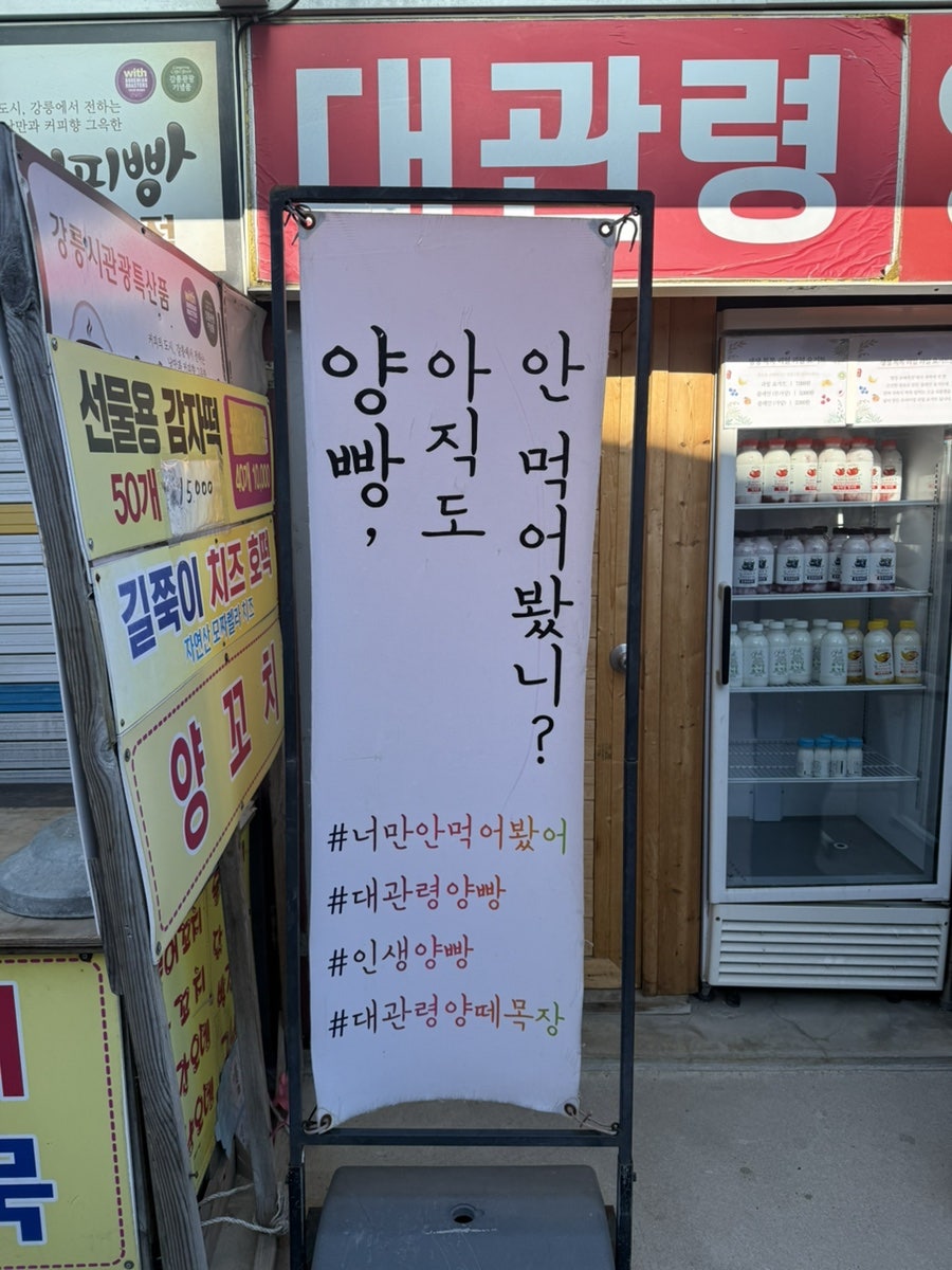 대관령양빵양빵양빵 사진 3