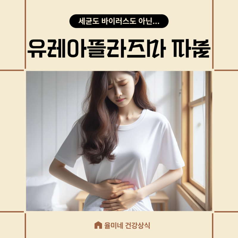 유레아플라즈마 파붐 성병 질염 남자 여자 증상 차이 치료법