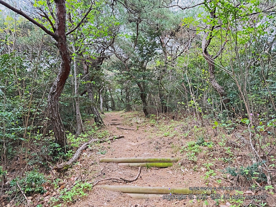 호등산 사진 5