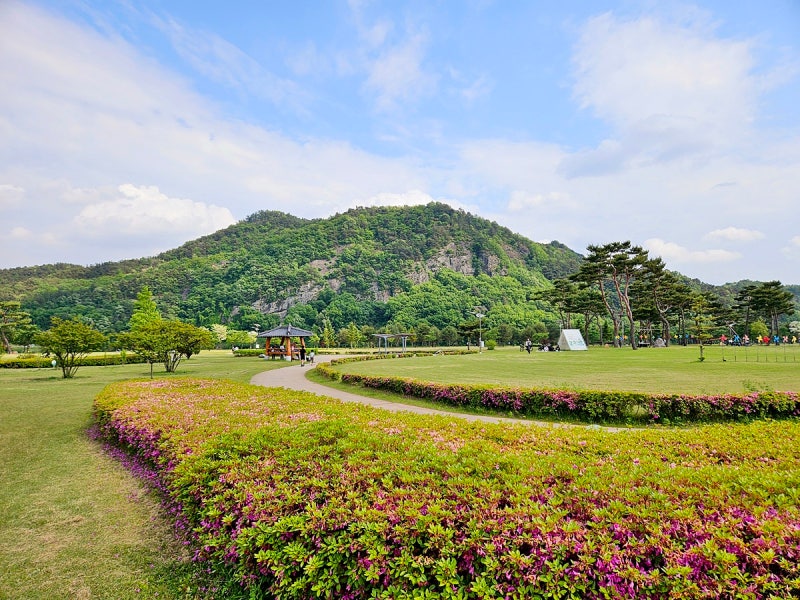 사진 6
