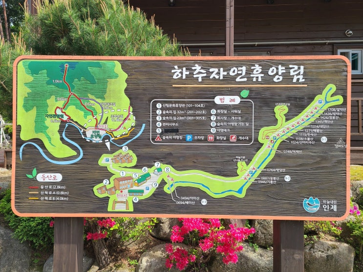  하추자연휴양림 숲속의집 리뷰 이용 예약방법