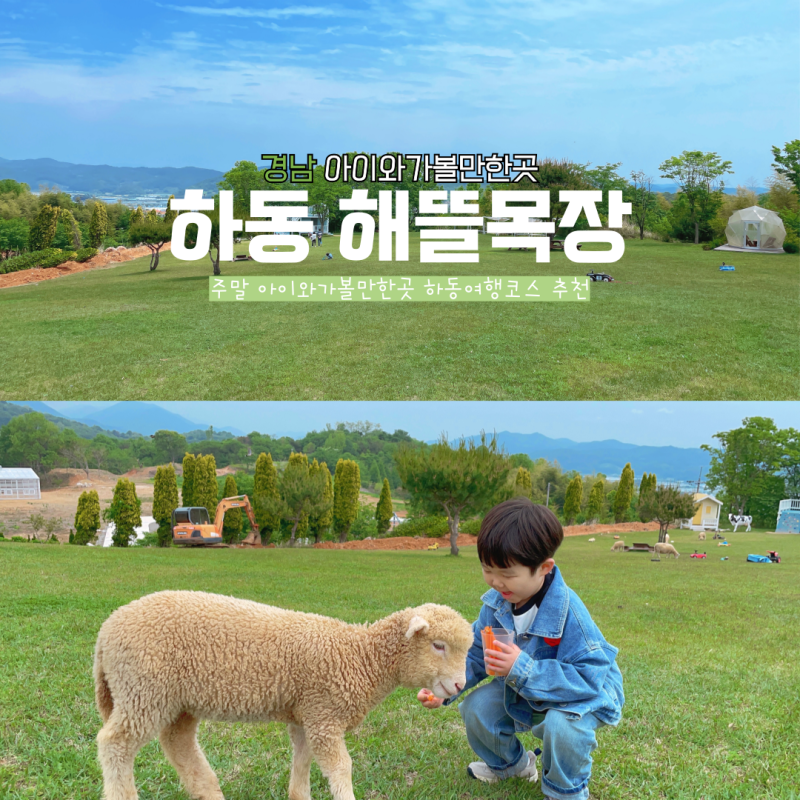 [경남/하동]5월 주말 경남아이와가볼만한곳 목장체험 하동여행코스 해뜰목장 젖소우유주기 ....
