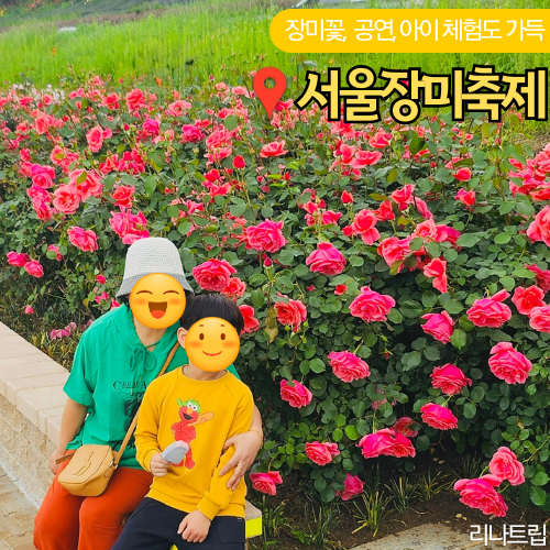  2025 서울장미축제 중랑천 기본정보 가수 주차장 가는길 리뷰