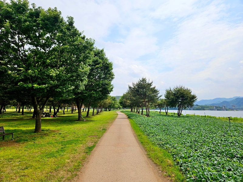 사진 7