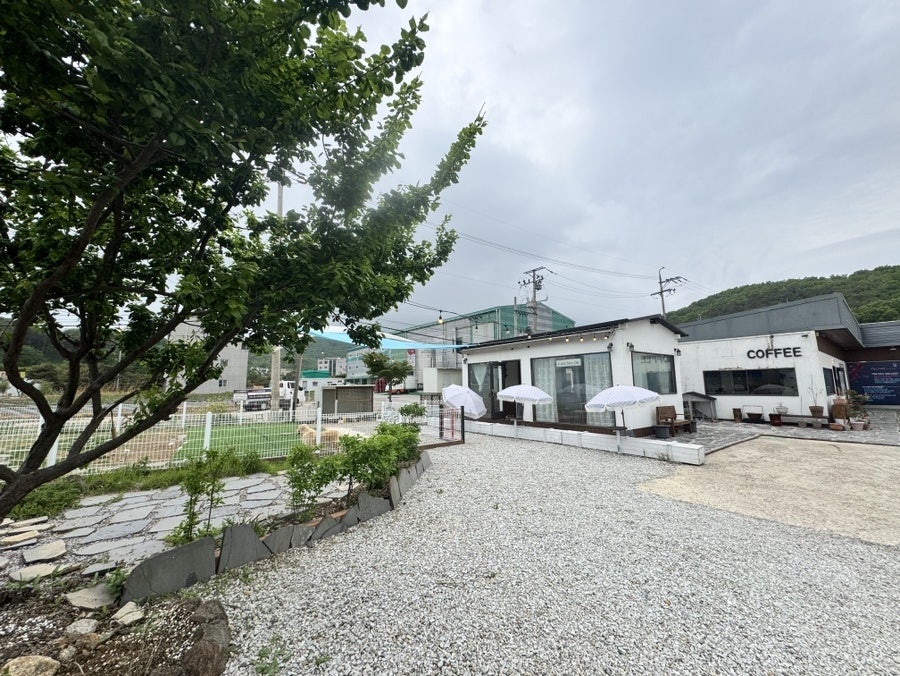 카페서온 사진 4