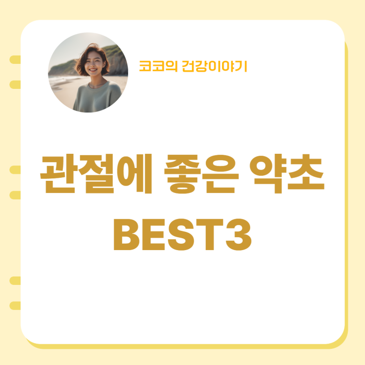  관절에 좋은 약초 BEST3