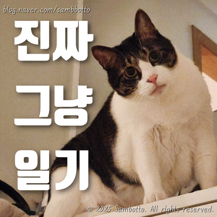  진짜 그냥 일기 | 집밥 일기, 메가쇼 다녀옴, 키보드 축 바꿈, 끝!
