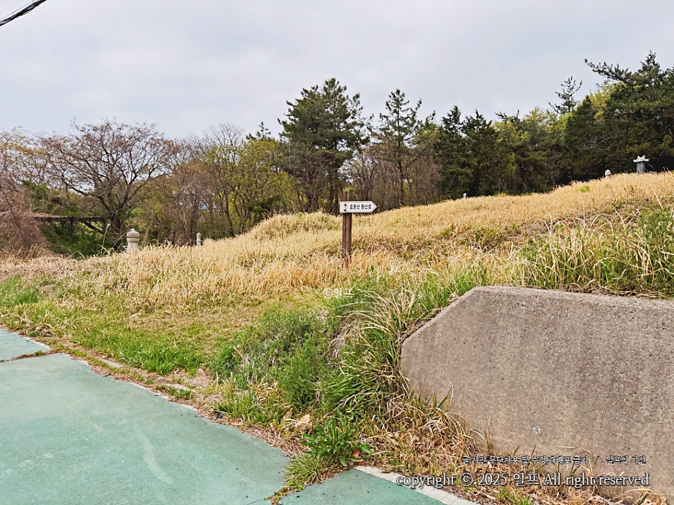 호등산 사진 3