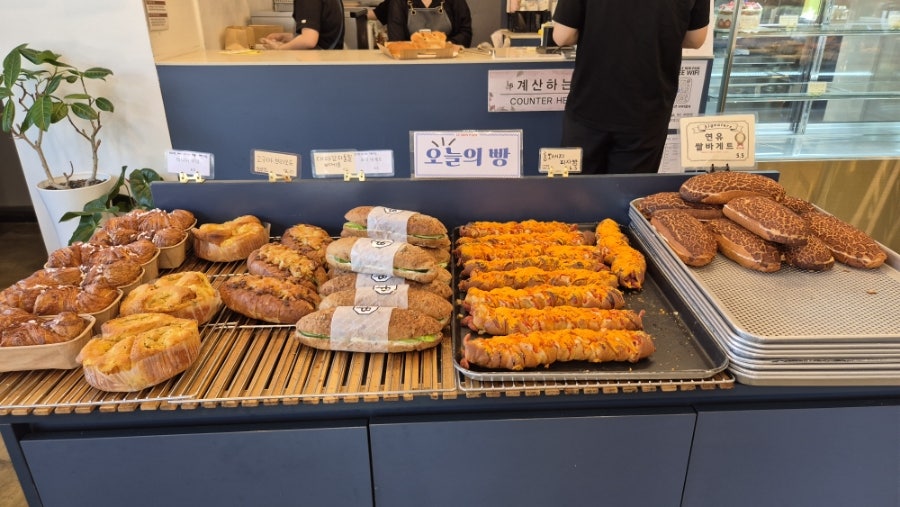 선이곳 사진 2