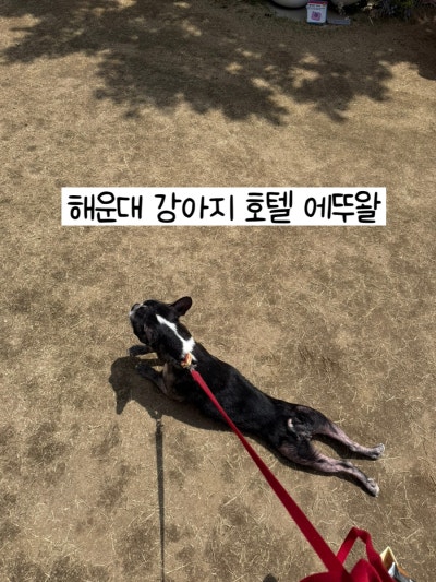 사진 3