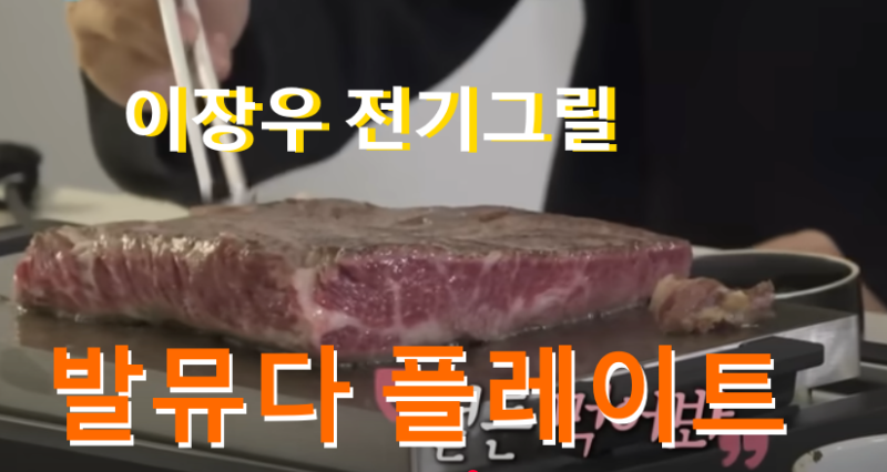 발뮤다 더 플레이트 전기그릴 가격 장 단점 가정용 고기팬 불판 (이장우 고기판 불판 사케 술....