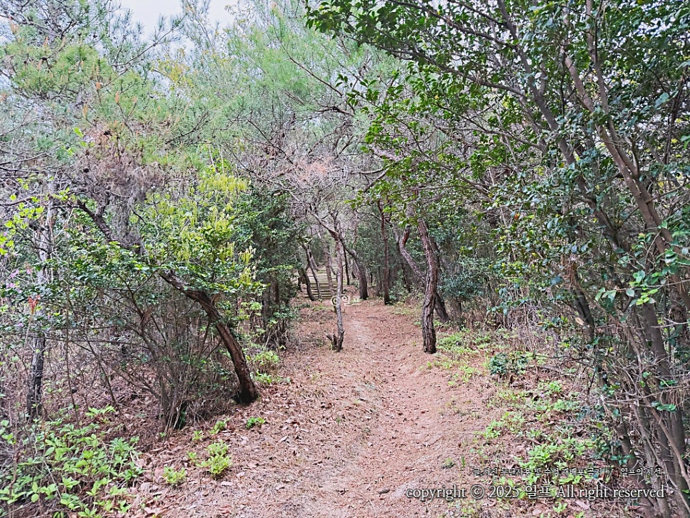 호등산 사진 6