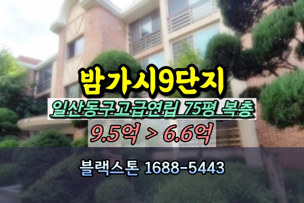  밤가시건영9단지 드림팰리스 경매 75층 복층 일산고급연립