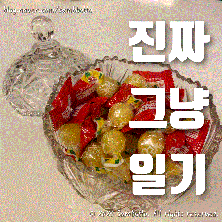  진짜 그냥 일기 | 아카시아 향 가득했던 여섯번째 결혼기념일