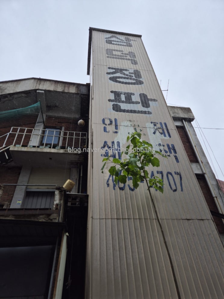  갓잇 서울숲점 멕시코 음식 화이타 타코 코로나리타 성수 맛집