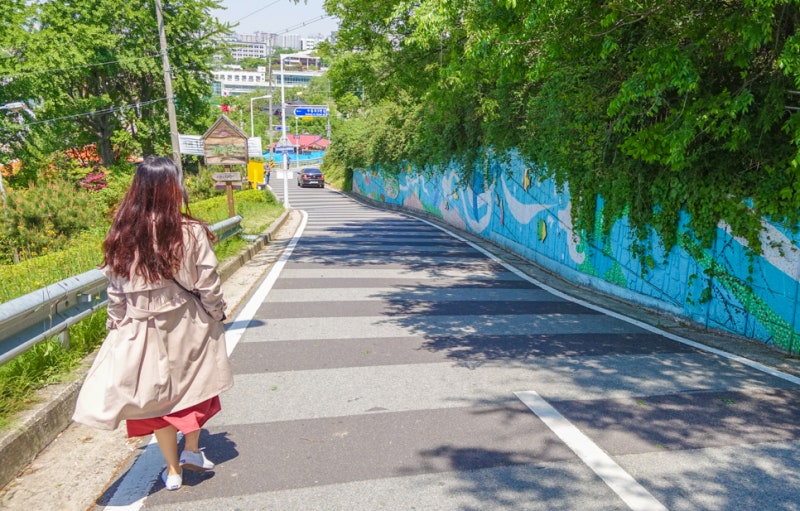 사진 7
