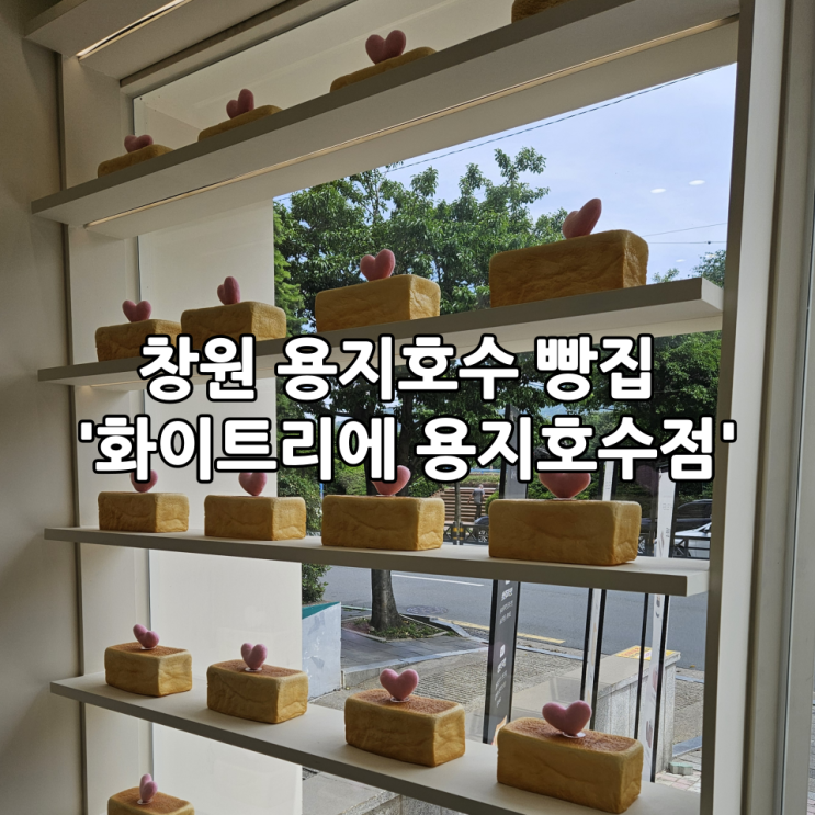  창원 용지호수 빵집 '화이트리에 용지호수점' | 부드럽고 고소한 버터 향이 좋은 생식빵 맛집