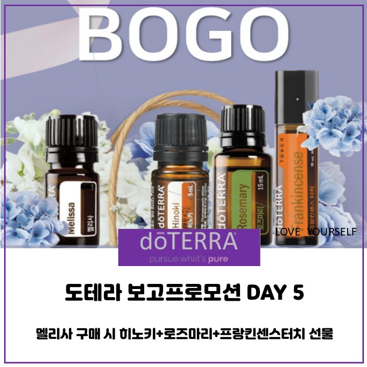  도테라코리아 보고프로모션 DAY 5 - 멜리사를 구매하시면 히노키, 로즈마리, 프랑킨센스터치를 선물로 드립니다