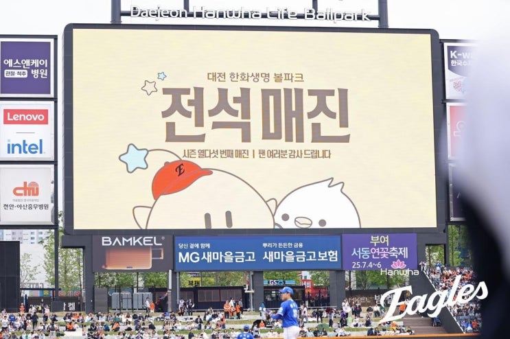 <b>한화 이글스</b>, 16경기 연속 <b>매진</b>의 역사적 순간