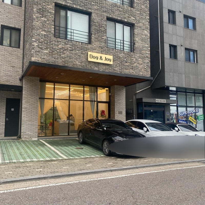 도그앤조이